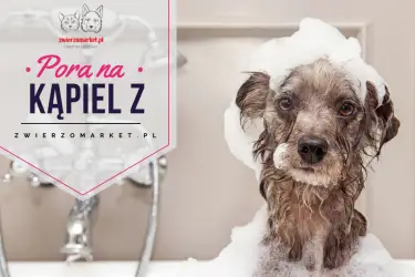 Pora na kąpiel z Zwierzomarket.pl