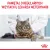 ROYAL CANIN Urinary Care 4kg