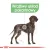 ROYAL CANIN CCN Maxi Digestive Care 12kg