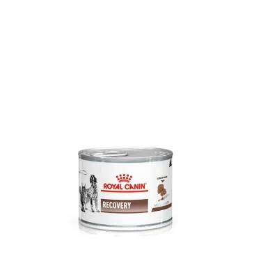 ROYAL CANIN Recovery 195g