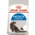 ROYAL CANIN Indoor Long Hair 10kg