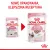 ROYAL CANIN Kitten Pasztet 12x85g