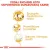 ROYAL CANIN Siamese Adult 2kg