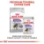 ROYAL CANIN CCN Mini Sterilised 3kg