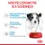 ROYAL CANIN Mini Puppy 12x85g