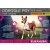 Eukanuba Active Adult Medium Breed Chicken 15kg