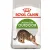 ROYAL CANIN Outdoor 400g