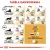 ROYAL CANIN Siamese Adult 2kg