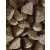 Natural Dog Food Jagnięcina & Cielęcina 15kg. 62% mięsa - Bez kurczaka