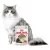 ROYAL CANIN Ageing +12 Sauce 12x85g