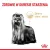 ROYAL CANIN Yorkshire Terrier Adult 8+ 1,5kg