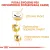 ROYAL CANIN Pug Adult 1,5kg