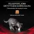 PURINA Pro Plan Veterinary Diets DM Diabetes Management Cat 5kg