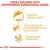 ROYAL CANIN Persian Adult 2kg