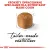 ROYAL CANIN Maine Coon Kitten 10kg