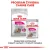 ROYAL CANIN CCN Exigent Pasztet 12x85g