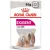 ROYAL CANIN CCN Exigent Pasztet 12x85g