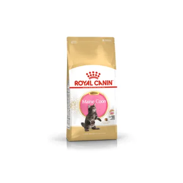 ROYAL CANIN Maine Coon Kitten 2kg