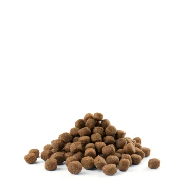 Versele-Laga Opti Life Puppy Maxi Z Kurczakiem 1kg