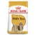 ROYAL CANIN Shih Tzu Adult 7,5kg