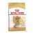 ROYAL CANIN Yorkshire Terrier Adult 8+ 1,5kg