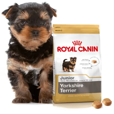ROYAL CANIN Yorkshire Terrier Puppy 500g