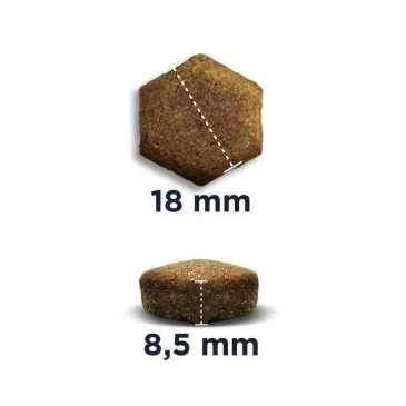 Eukanuba Adult Rottweiler 12kg