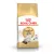 ROYAL CANIN Ragdoll Adult 10kg