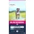 Eukanuba Adult Large Grain Free Łosoś 12kg