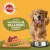 Pedigree Mokra Karma Dla Dorosłych Psów Z Wołowiną W Galarecie Puszka 400g