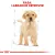 ROYAL CANIN Labrador Retriever Puppy 12kg