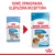 ROYAL CANIN Medium Puppy 10x140g