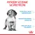 ROYAL CANIN Medium Puppy 15kg