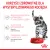 ROYAL CANIN Kitten Sterilised Sauce 12x85g