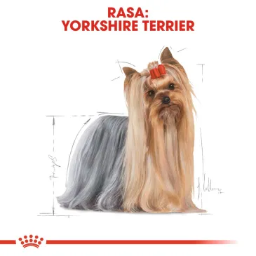 ROYAL CANIN Yorkshire Terrier Adult 1,5kg