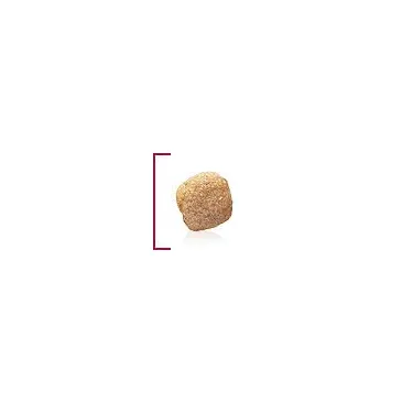 ROYAL CANIN Hepatic 12kg