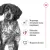 ROYAL CANIN Medium Adult 10x140g