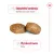 ROYAL CANIN Giant Adult 15kg