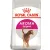 ROYAL CANIN Aroma Exigent 400g