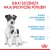 ROYAL CANIN Mini Starter 1kg