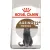 ROYAL CANIN Ageing Sterilised +12 2kg