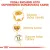 ROYAL CANIN Ragdoll Adult 10kg