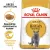 ROYAL CANIN British Shorthair Adult 2kg