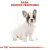 ROYAL CANIN French Bulldog Puppy 3kg