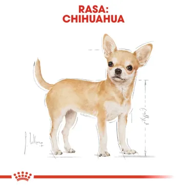 ROYAL CANIN Chihuahua Adult 500g
