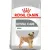 ROYAL CANIN CCN Mini Dental Care 3kg