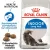 ROYAL CANIN Indoor Long Hair 10kg