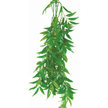 Roślina do terrarium Ficus Longifolia Happet 50cm