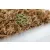 Mech torfowiec Sphagnum moss 100g