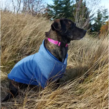 Ubranko dla psa BE NORDIC L: 62 cm, bluza z kapturem, niebieska